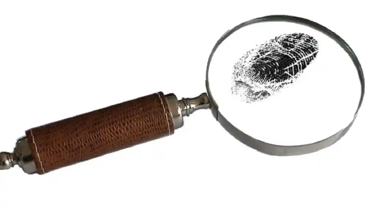 Inquérito policial: 5 pontos que não podem ser esquecidos